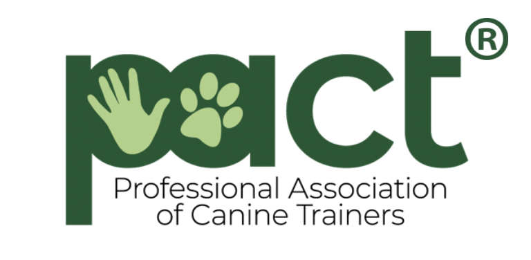 Puppy training